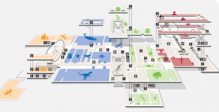 Floor American Museum of Natural History