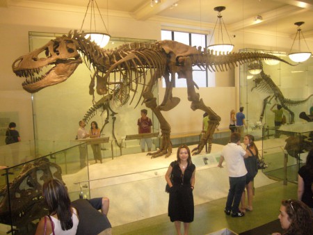 Skeleton of a Tyrannosaurus Rex, in the Hall of Saurischian Dinosaurs, in the American Museum of Natural History