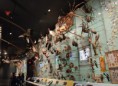 /album/photogallery/hall-of-biodiversity-american-museum-of-natural-history-7356570500-jpg1/